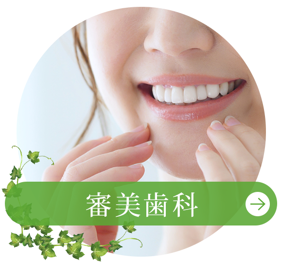 一般歯科